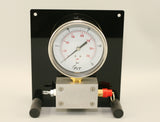 Panel for Intermediate Pressure Gauge, Professional